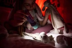 Ledlenser KidBEAM4 LED Hand Torch (Purple) 15 Ledlenser KidBEAM4 LED Hand Torch (Purple) -Outdoor Camping k59e29570618b7729d370bdca435a3048