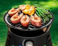 Cadac BBQ Grid 30 -Outdoor Camping k99ed97a2ecfce9685eca27d9856eb126