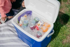 IGLOO Laguna 28QT Cool Box Red 20 IGLOO Laguna 28QT Cool Box Red -Outdoor Camping kb309529a331bee3c9613a50999a7df51